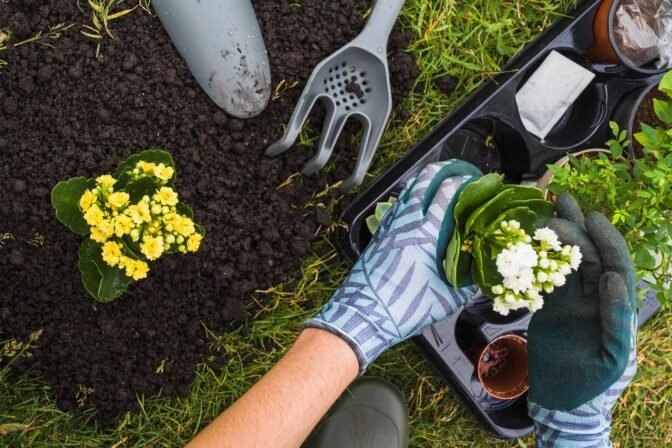How To Care For Plants Inside A Home Greenhouse
